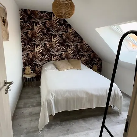 Duplex Les Glycines 公寓 Bennwihr